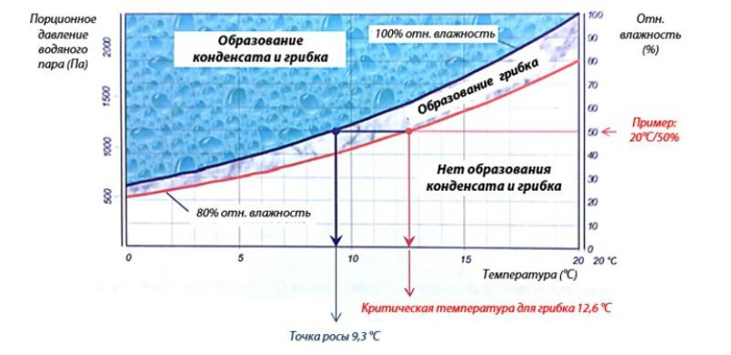 Взаимосвязь температуры точки росы и критической температуры для грибка