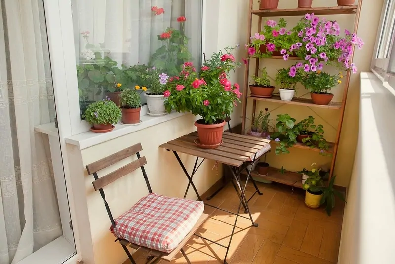 Фото: на застекленный балкон можно уже вынести пару горшков с цветами, маленький столик и диванчик, © ru.depositphotos.com  