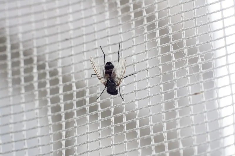 Москитная сетка защищает от насекомых © Фотобанк Лoри 