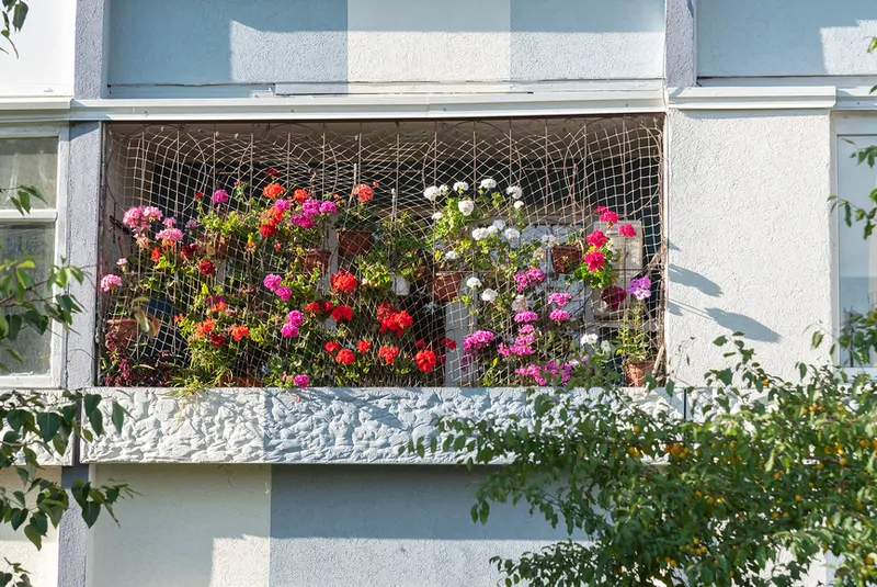 Цветущий балкон © Фотобанк Лори 