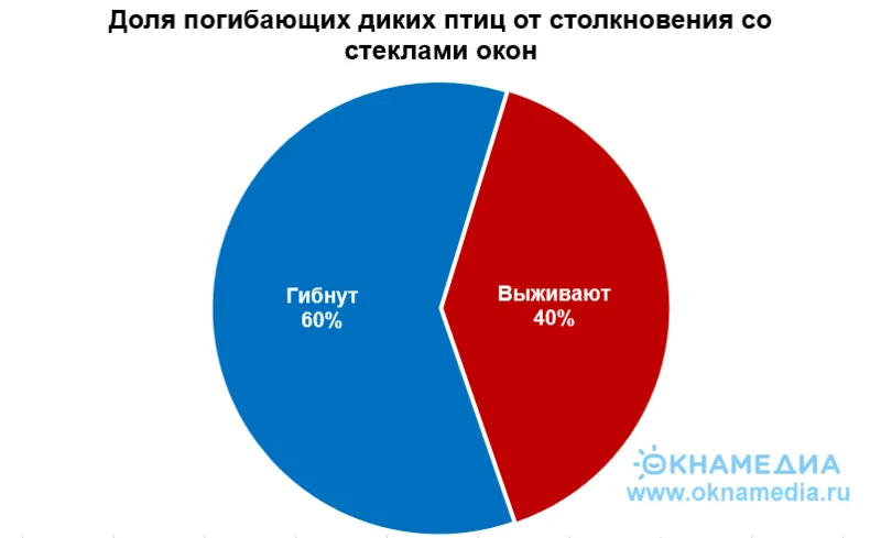 Доля погибающих птиц от ударов о стекла окон, превышает долю выживших, источник: Plos One, © oknamedia